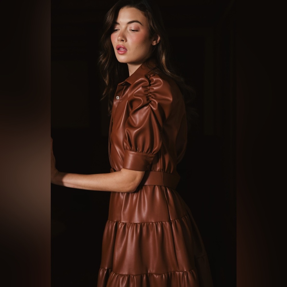 Hutch Darci Short Sleeved Belted Midi Dress - Picture 9 of 9